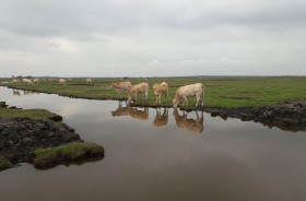 Zeeland20245