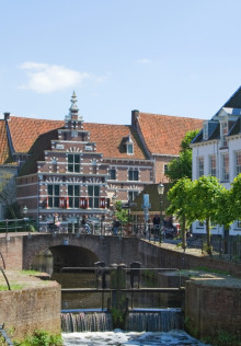 Flehite