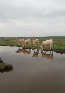Zeeland20245