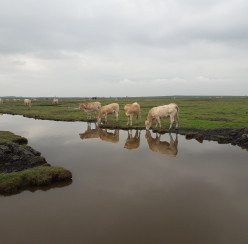 Zeeland20245