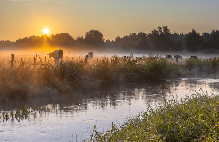 twente