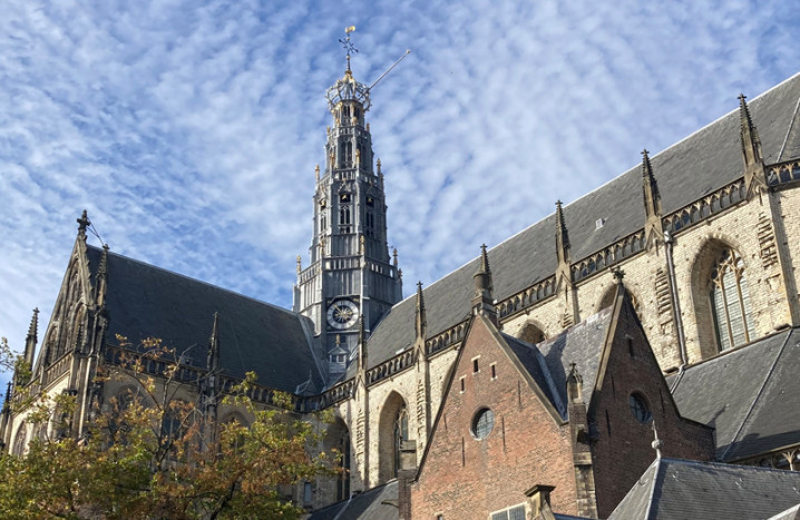 Sint Bavo in Haarlem
