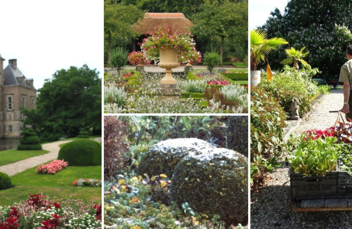 Borders en bloemperken