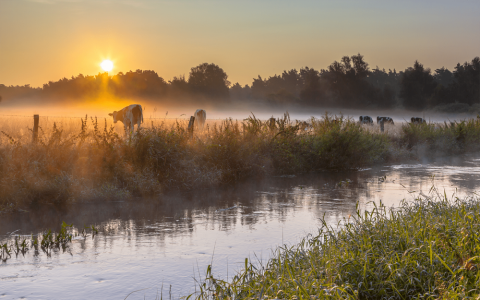 twente