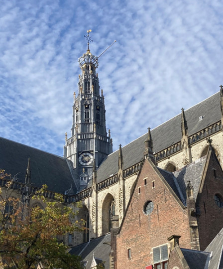 Sint Bavo in Haarlem
