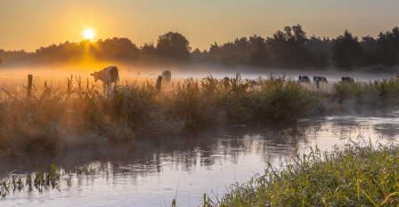 twente