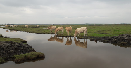 Zeeland20245