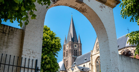 Thorn limburg