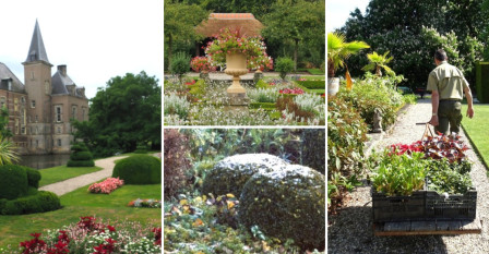 Borders en bloemperken